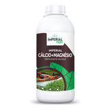 1l