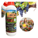 Calda Bordalesa Calda Borda Max 1 Litro Fungicida Organico