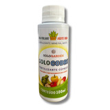 Calda Bordalesa Pronto Uso cal Sulfato De Cobre 100ml