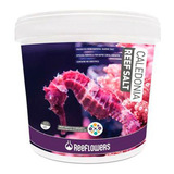Caledonia Reef Salt 6 5kg Reeflowers Sal P Aquário Marinho