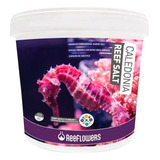 Reeflowers