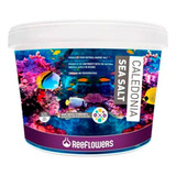 Caledonia Sea Salt 6 5kg Reeflowers Sal P Aquário Marinho