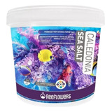 Reeflowers