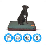 Cama Caminha Colchão Almofada Para Cachorro Do Tamanho G Cor Nylon Verde
