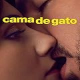 Gato