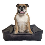 Cama Pet Luxo Macia Para Cachorro E Gato Suede G