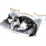 Cama Rede Suspensa De Parede Para Pet Gatos Todas As Raças Cor Azul claro