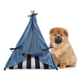 Caminha Cabana Pet Toca Oca Tenda Cama Cachorro Cão Grande G