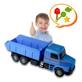 Caminhão De Brinquedo Grande Plastico Menino Scania Coleção