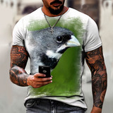 Camisa Camiseta Pássaro Ave Coleiro Tuí