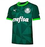 Camisa Do Palmeiras 2023 24