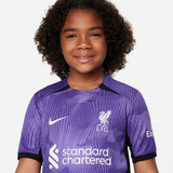 Camisa Nike Liverpool Iii 2023 24 Torcedor Pro Infantil