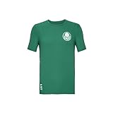 Camisa Palmeiras Símbolo 1914 Infantil Tamanho 14 Cor Verde
