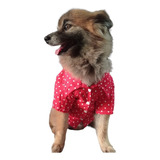 Camisa Pet Social Para Cães E