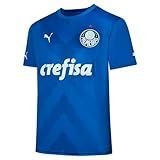 Camisa Puma Palmeiras Goleiro I 2023
