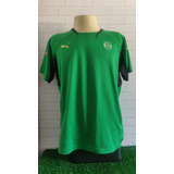 Camisa Sporting Lisboa Puma Verde