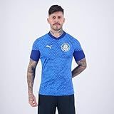 Camisa Treino E Viagem Palmeiras Torcedor 2024