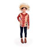 Camisa Xadrez Festa Junina Infantil Pra Menino Blusa Quadriculada Manga Longa De Frio Dança Escola Quermesse Quadrilha BR Alfa P Regular Vermelho 
