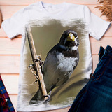 Camiseta Ave Pássaro Coleiro Tui Tui 2 Dicelli
