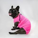 Camiseta Basica UV50 GG Pink Pesc 38 X Peit 52 X Comp 44cm 