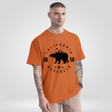 Camiseta Califórnia Republic Camisa Streetwear 100 Algodão