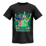 Camiseta Goleiro Weverton Seleção Brasileira Verdão Novidade