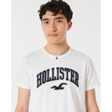 Camiseta Hollister Manga Curta