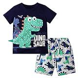 Camiseta Infantil De Manga Curta Com Estampa De Dinossauro Shorts Roupas Infantis Para Bebês Meninos Primeiro Aniversário Preto 4 5 Anos