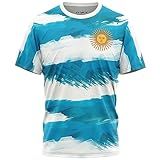 Camiseta Masculina Bandeira Argentina Pintura