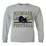 Camiseta Masculina Michigan Capacete De Futebol Michigan Camiseta De Manga Longa Colorida Cinza Esportivo M