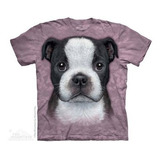 Camiseta The Mountain 100 Algodão Boston Terrier Infantil