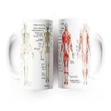 Caneca Anatomia Sistema Esquelético E Muscular