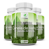 Canela De Velho 180 Cápsulas 500mg 3 Frascos 100 Natural