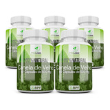 Canela De Velho 300 Cápsulas 500mg 5 Frascos 100 Natural