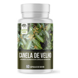 Canela De Velho Erva Medicinal Natural 60 Cápsulas 500mg