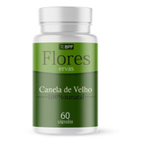 Canela De Velho miconia Albicans