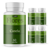 Canela Em Pó Cápsulas 500mg Kit 5 Potes 100 Natural 