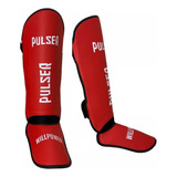Pulser