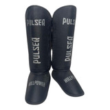 Pulser