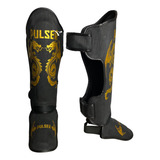 Pulser