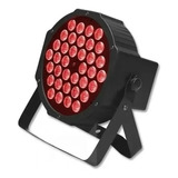 Bivolt