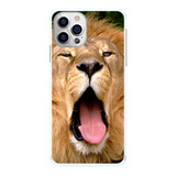 Capinha