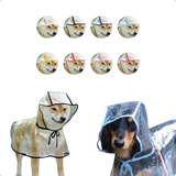Cão