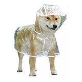 Cão