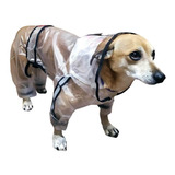 Capa Chuva Transparente Pet Cão Tamanho 4xl