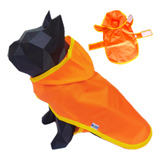 Cachorro