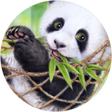 Capa Estepe Ecosport Crossfox Aircross Panda Olhos Verdes