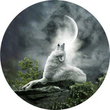 Lobo