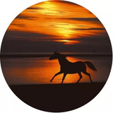 Cavalos