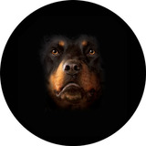 Capa Estepe Personalizada Pneu Ecosport Rottweiler